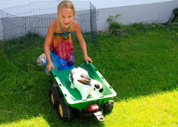 Stroblhof アパート